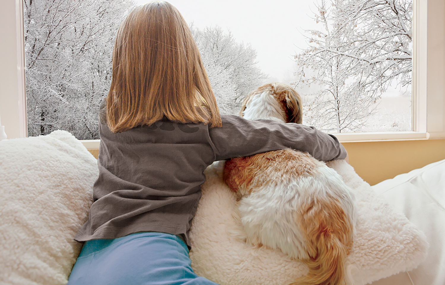 Keep Your Edmond Home Warm This Winter with Low-E Window Film