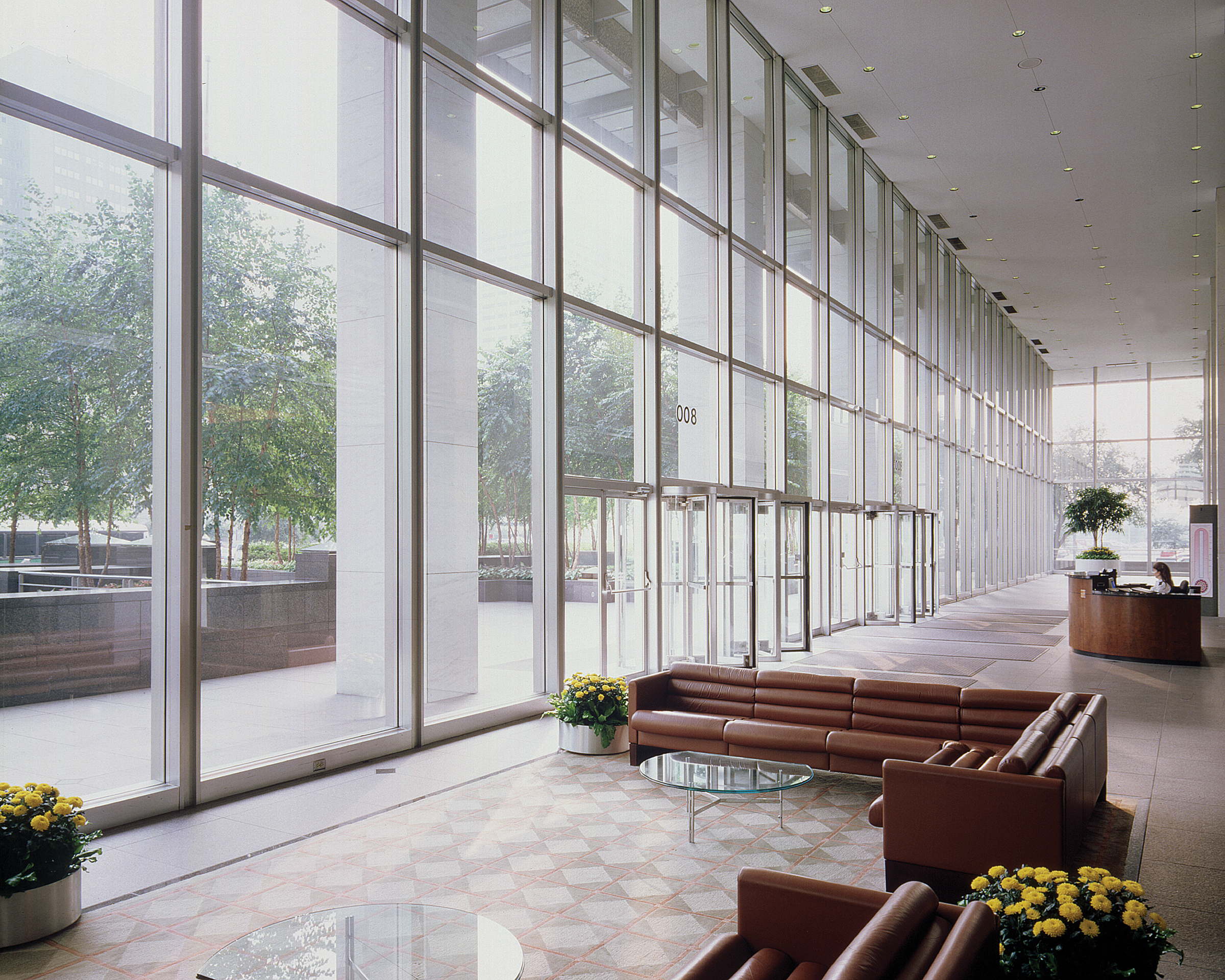 Transform Your Home or Business with Professional Window Film in Edmond